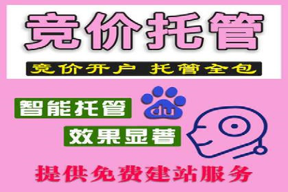 SEM竞价推广案例：打造行业领先的广告投放策略